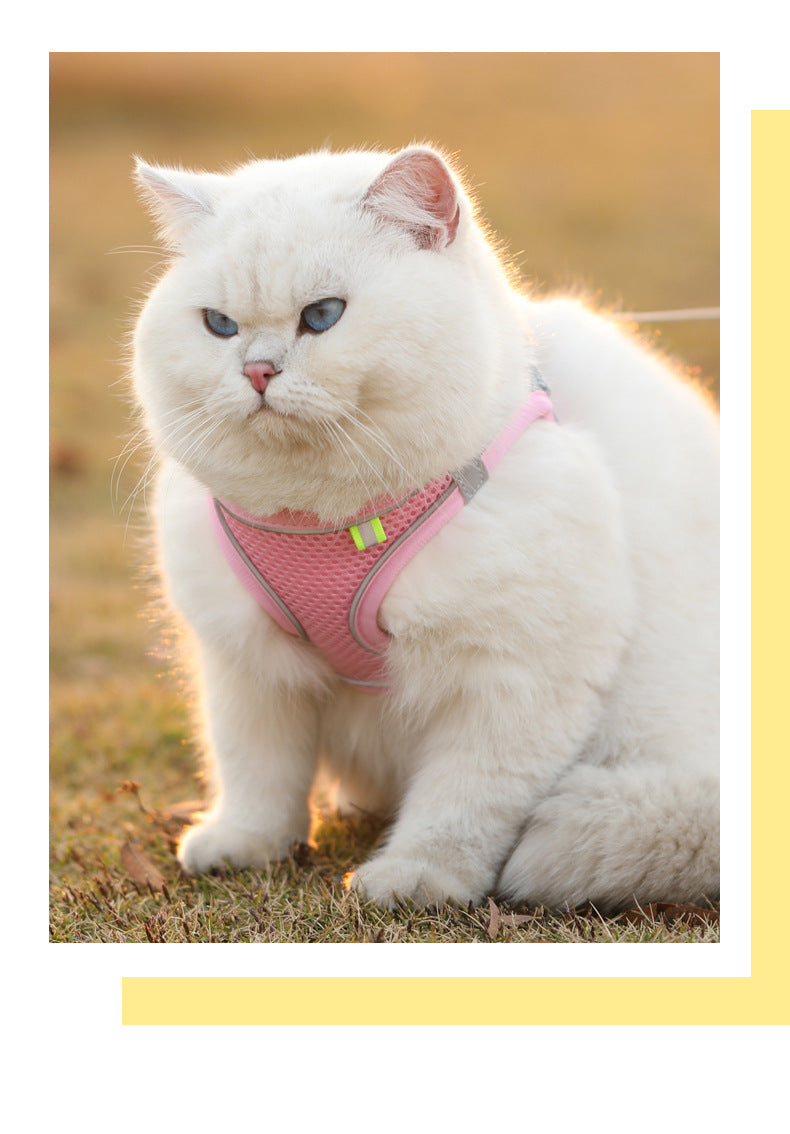Cats and Dogs Reflective Harness Vest