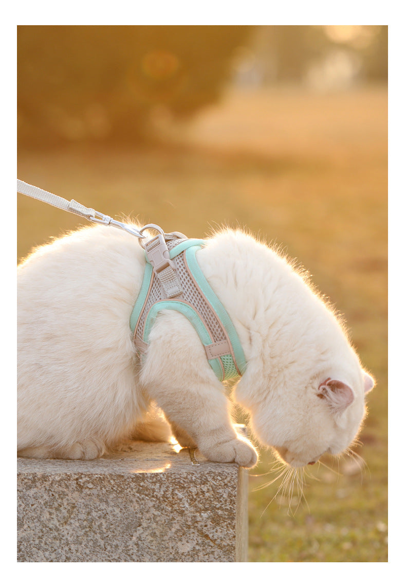 Cats and Dogs Reflective Harness Vest