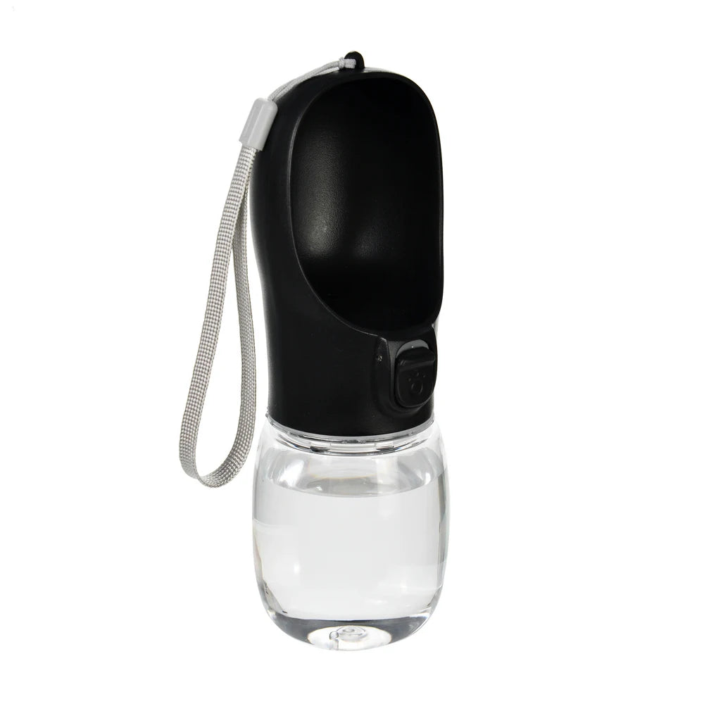 Portable Water Bottle