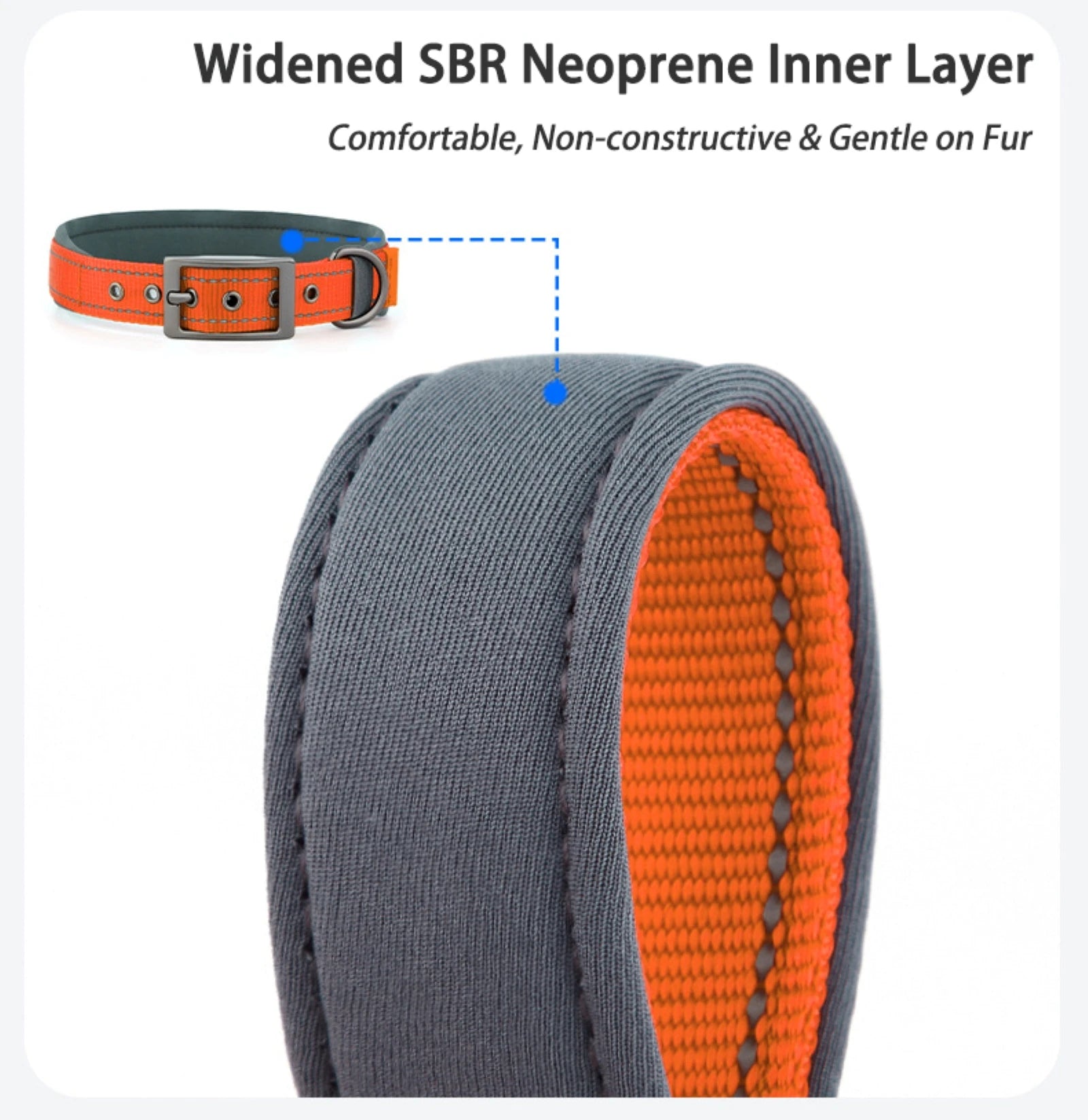 Large Dogs Collar