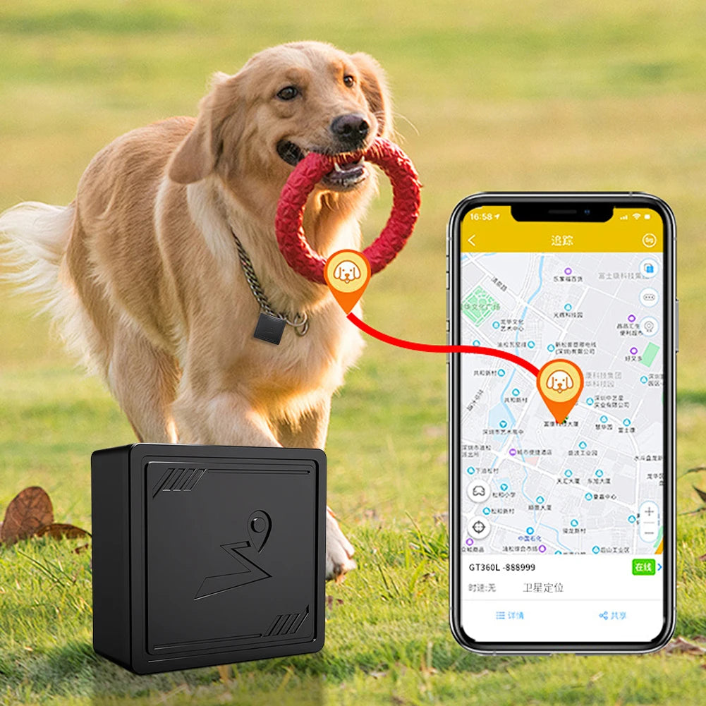4G GPS Tracker with App Anti-Lost Recording/Tracking Device Portable