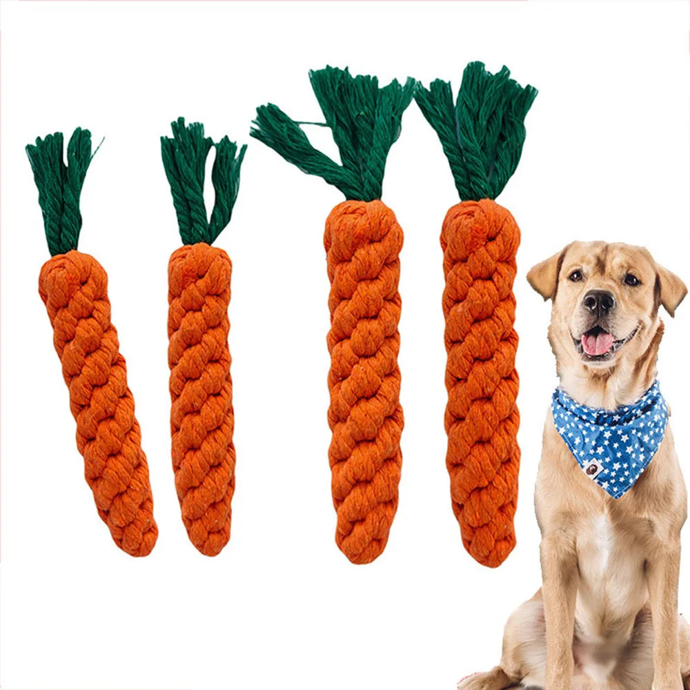 Braided Dog Toys