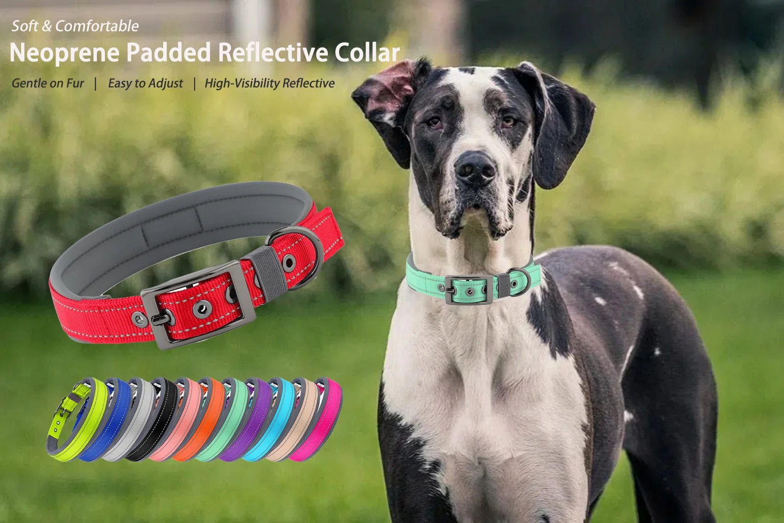Large Dogs Collar