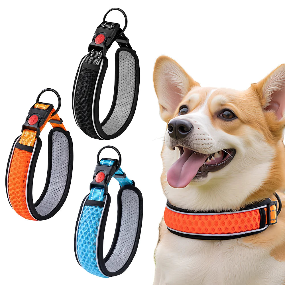 Pet Adjustable Collar