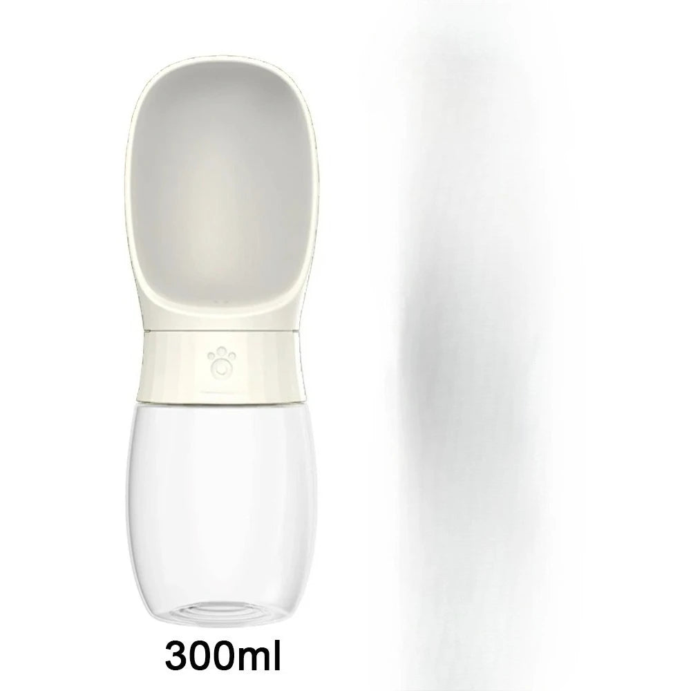 300ml Water Bottle