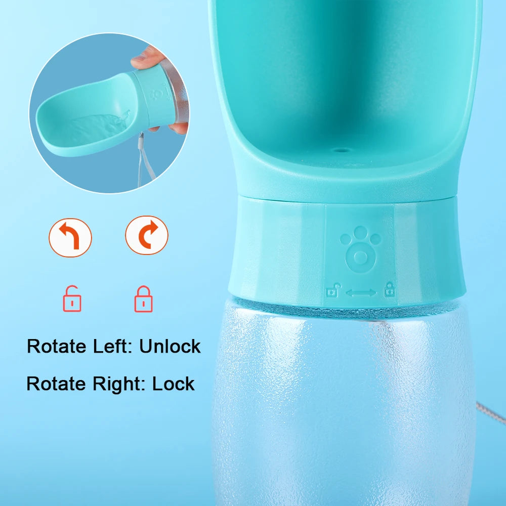 300ml Water Bottle