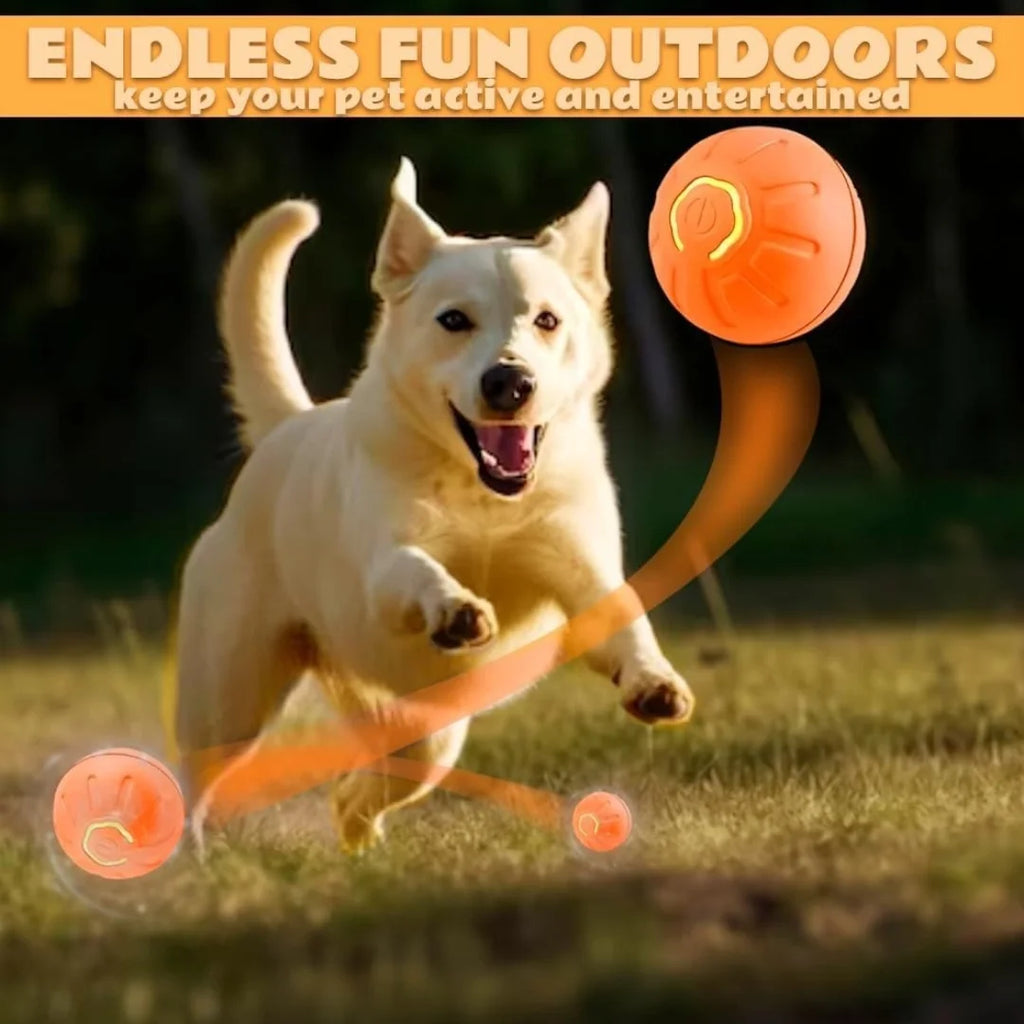 Pet toys Gravity Electric Amusement Pet Ball Smart Bouncing Ball