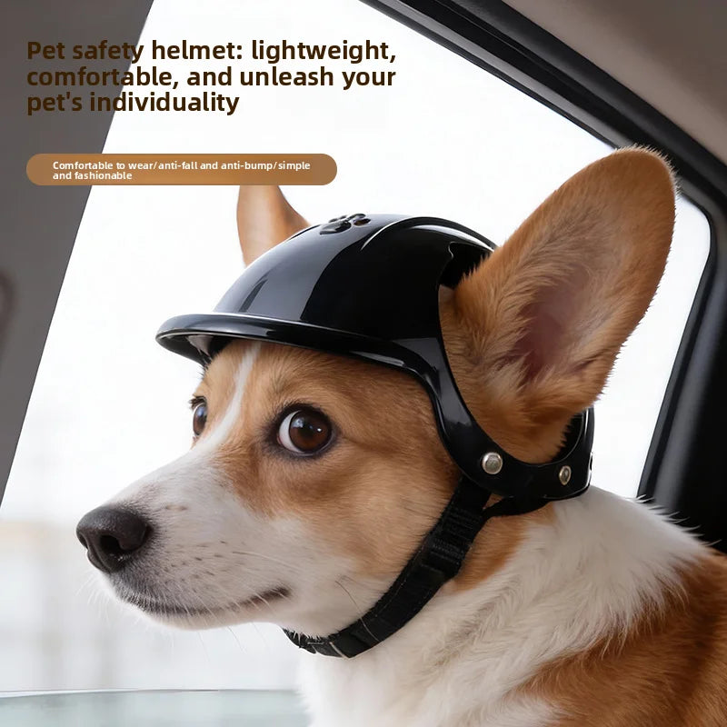 Pet Helmet