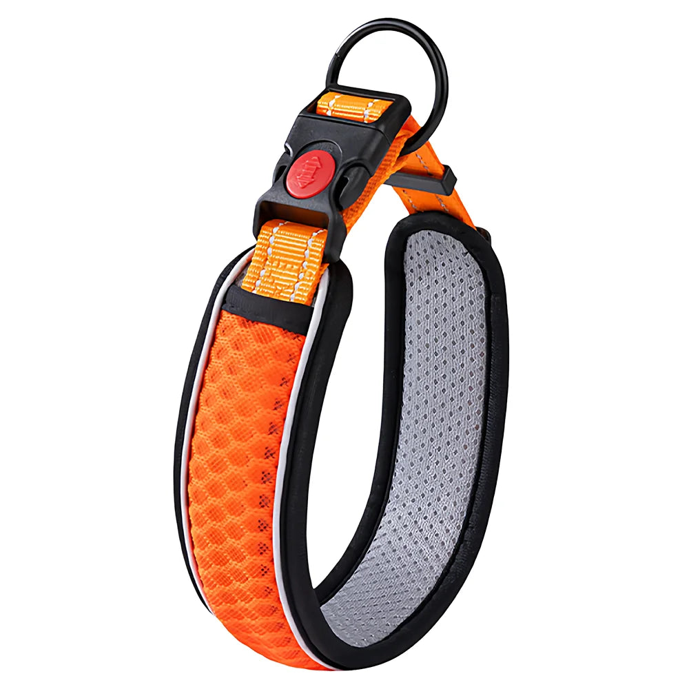 Pet Adjustable Collar