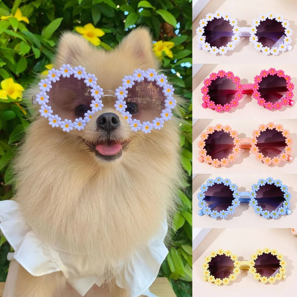 Flower Sunglasses Circular