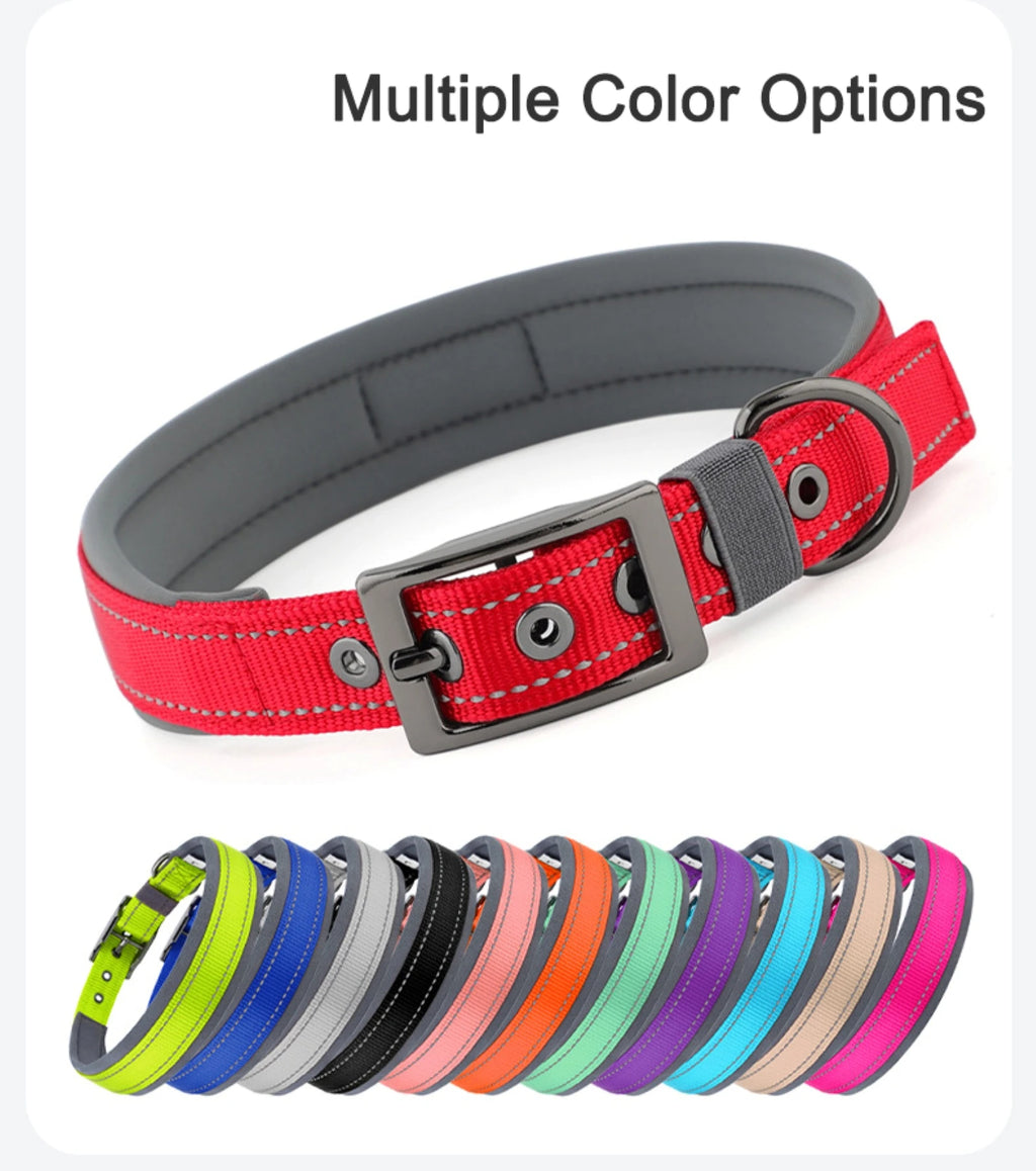 Large Dogs Collar