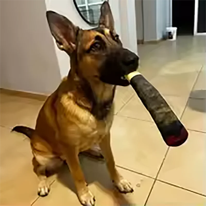 Funny Interactive Dog Toy,Cigar Design