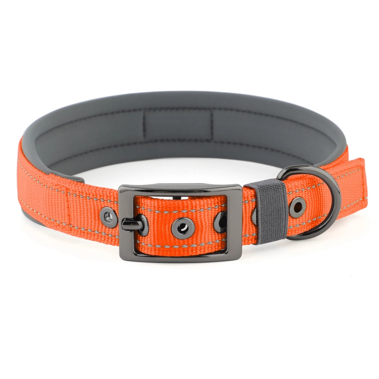 Large Dogs Collar