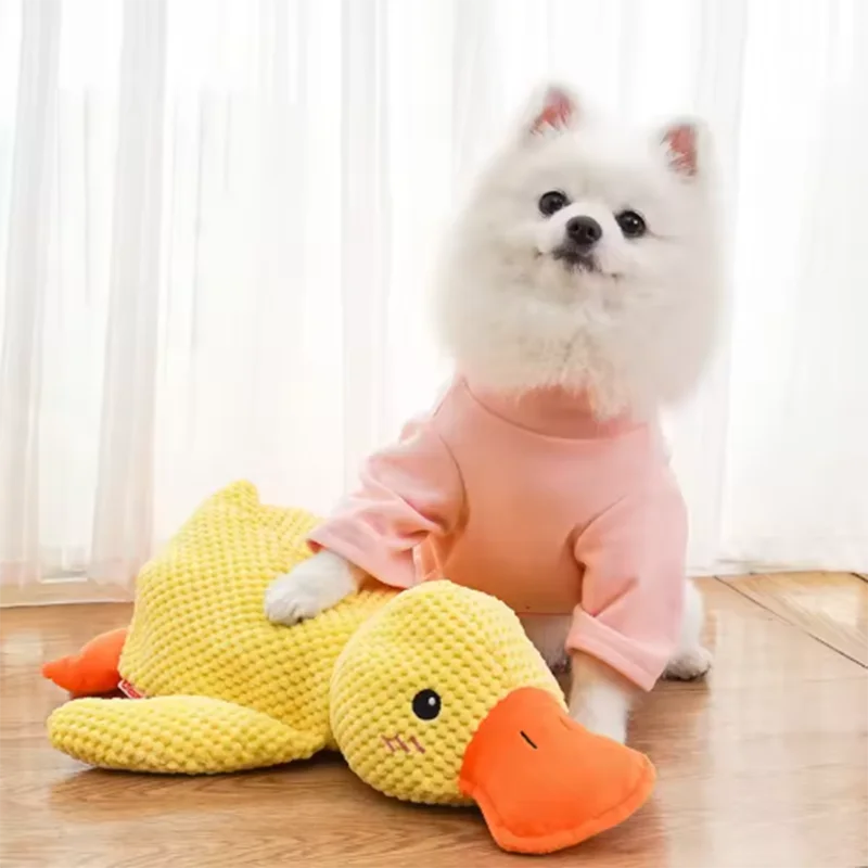 Yellow duck toy