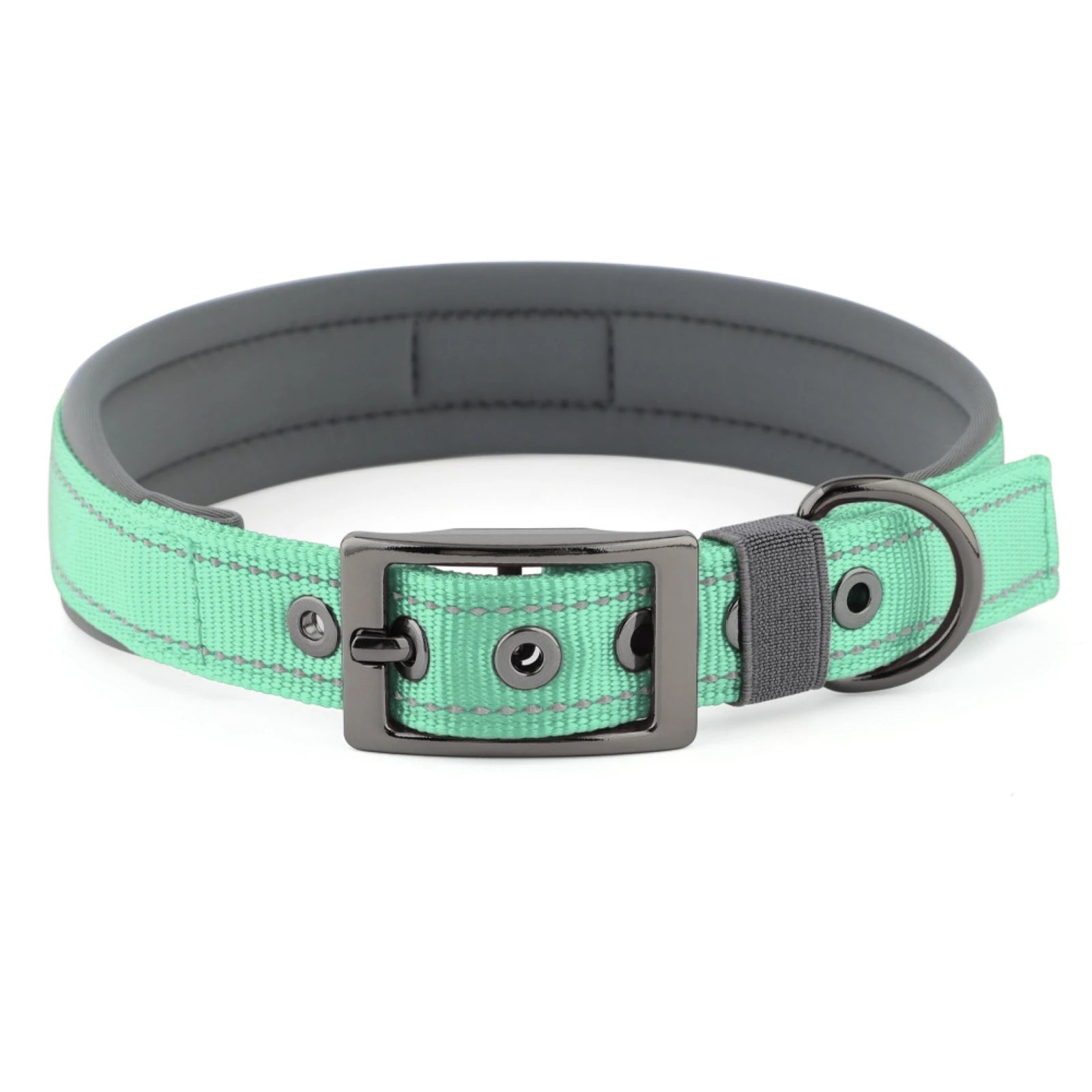 Large Dogs Collar