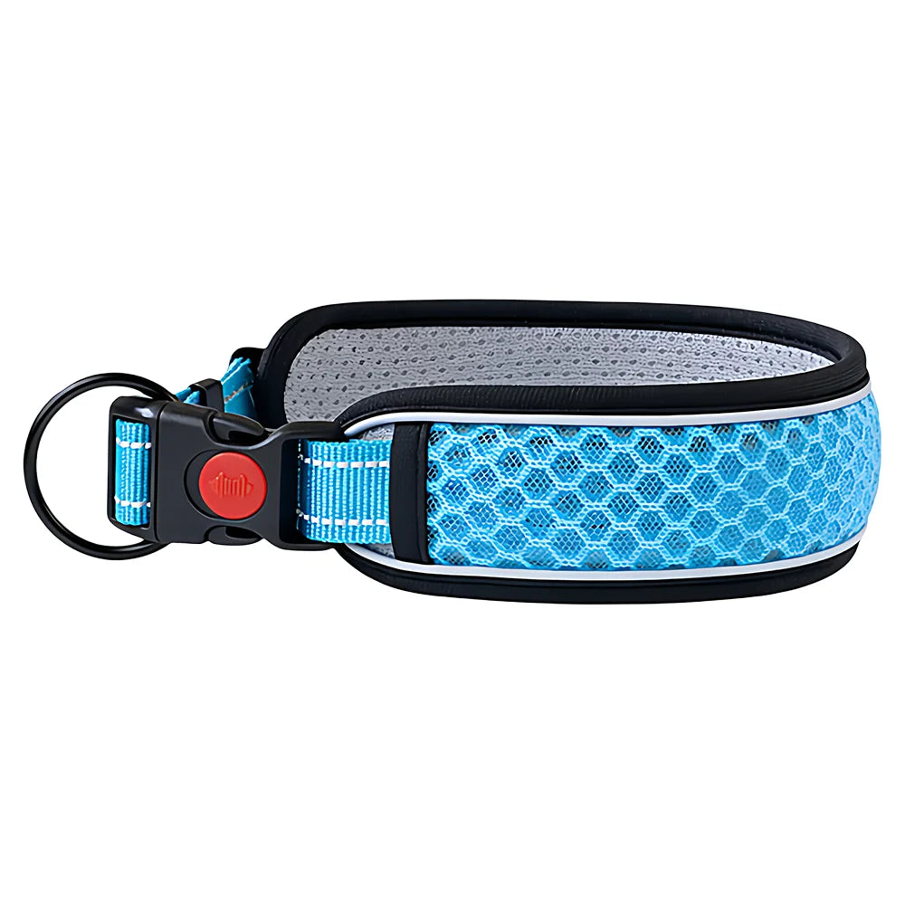 Pet Adjustable Collar