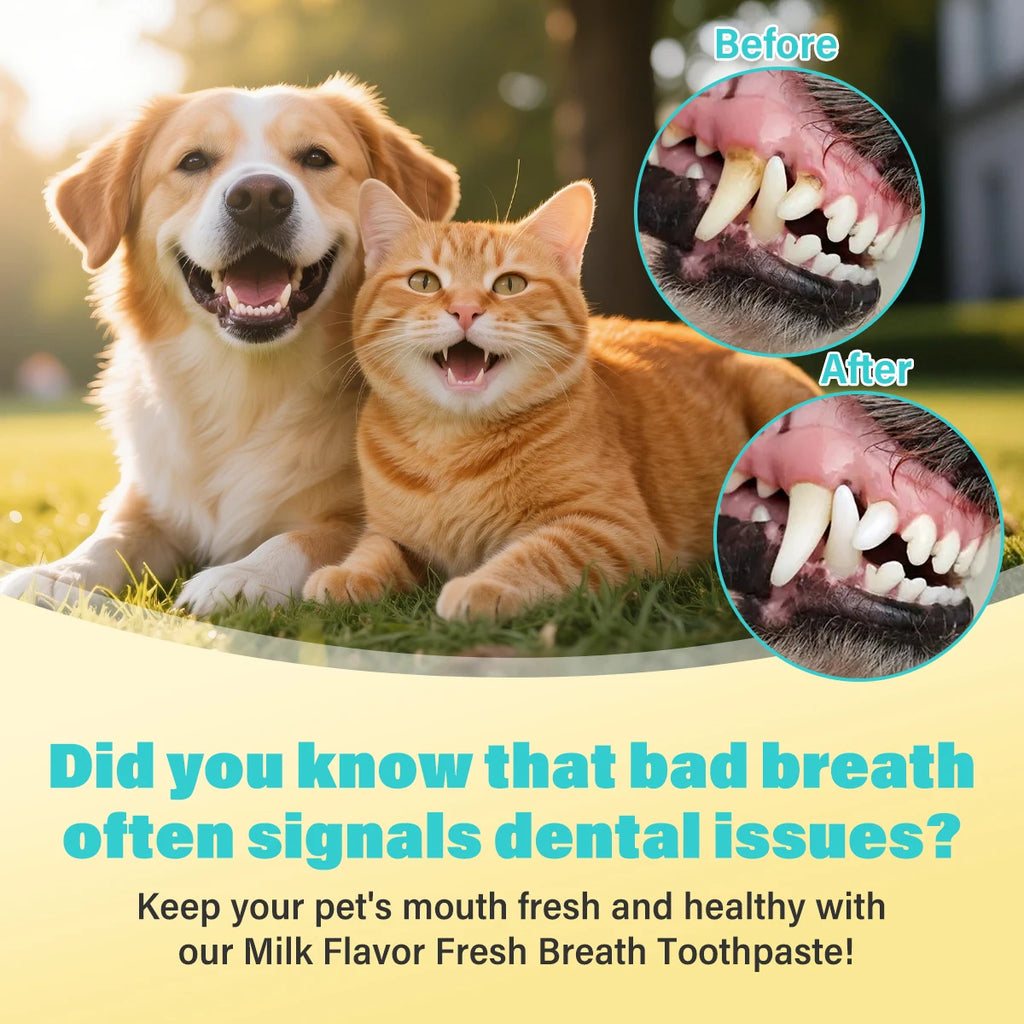 Dental Care Kit Milk Toothpaste Toothbrush Deep Clean Freshens Breath Reduces Plaque Tartar Oral Care For All Breeds