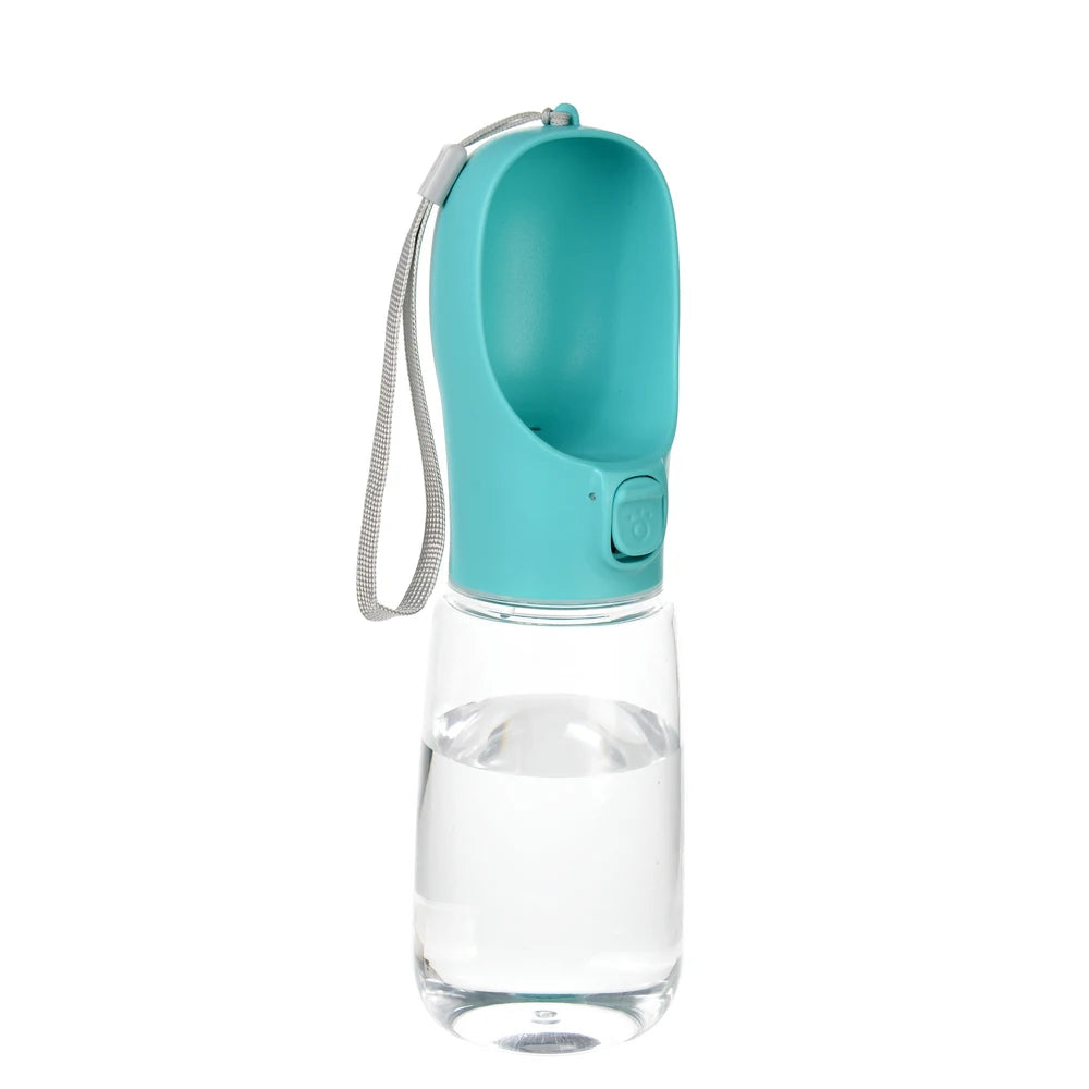Portable Water Bottle