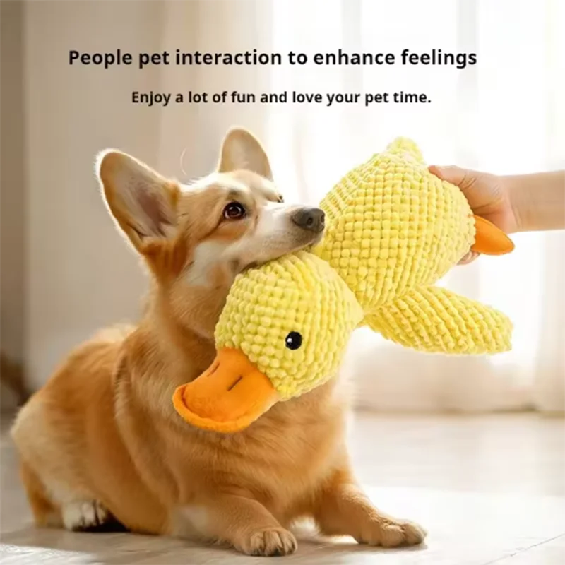 Yellow duck toy