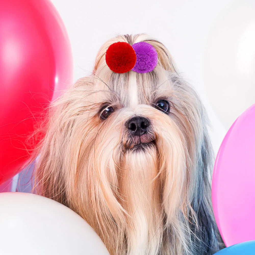 Pet Dog Hair Bows for Small Dogs