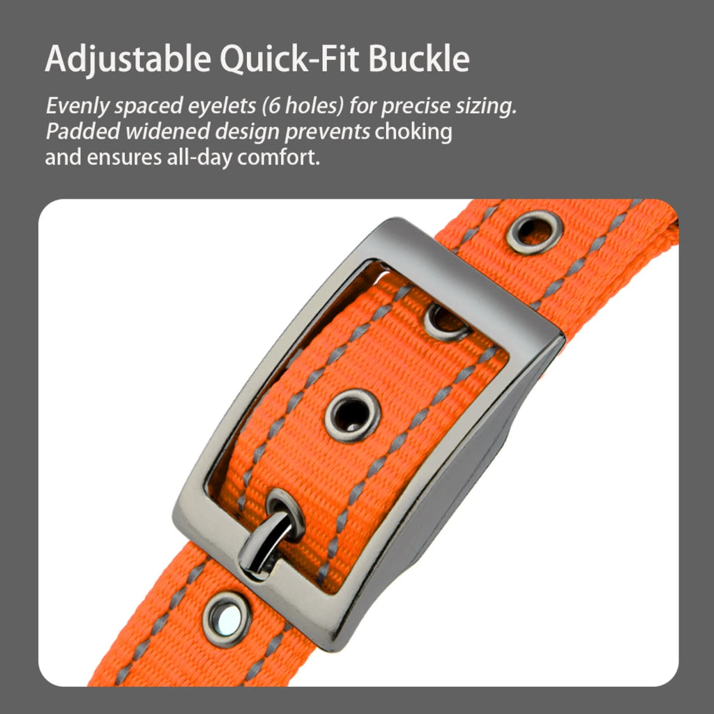 Large Dogs Collar