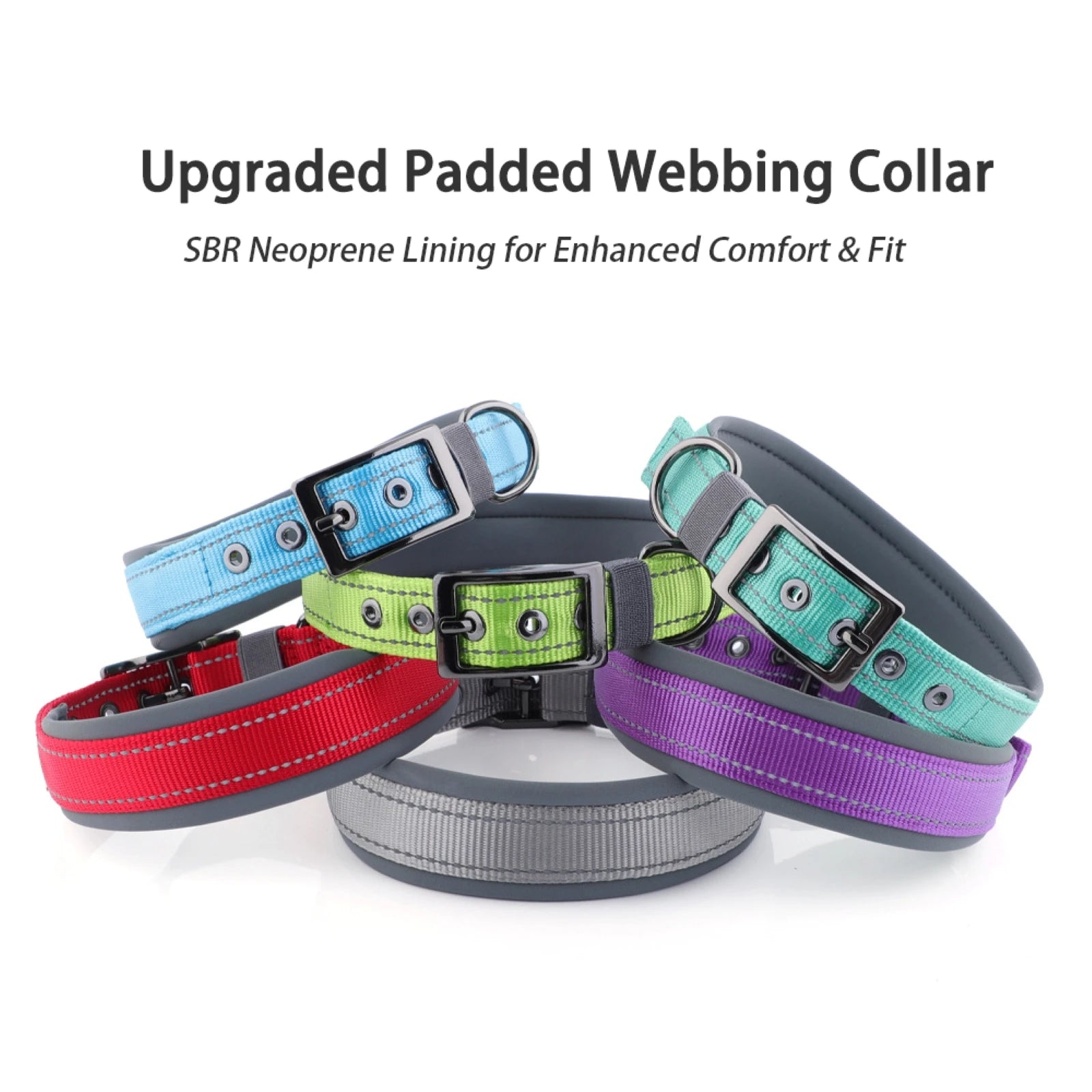 Large Dogs Collar
