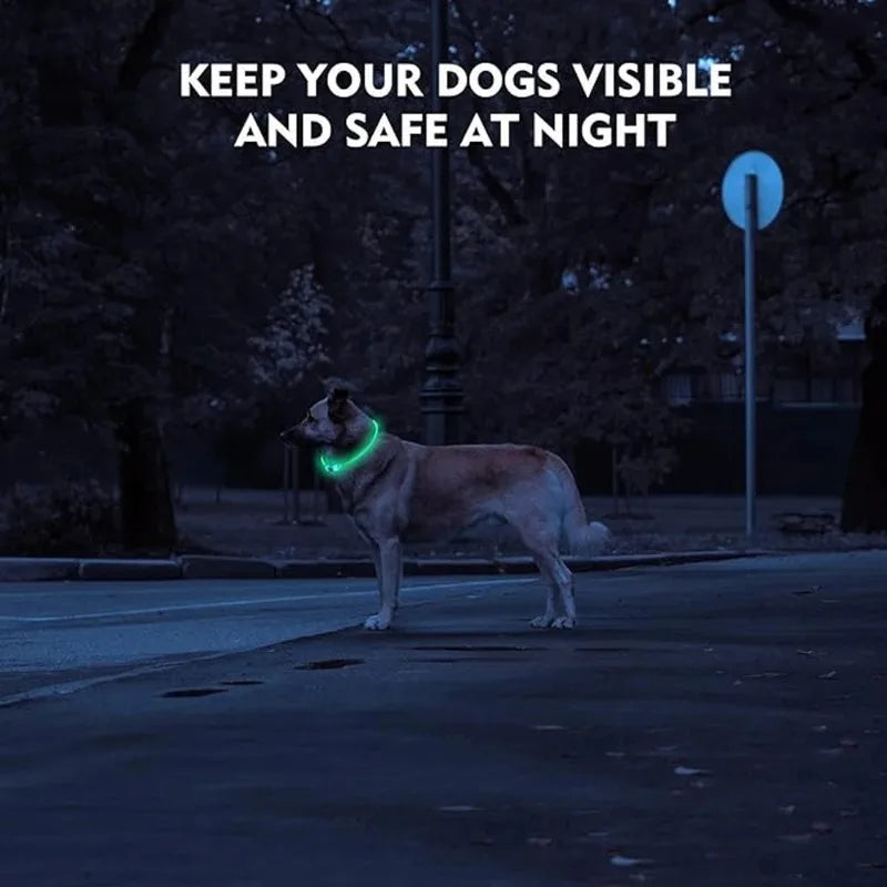 Pet Dog LED Collar