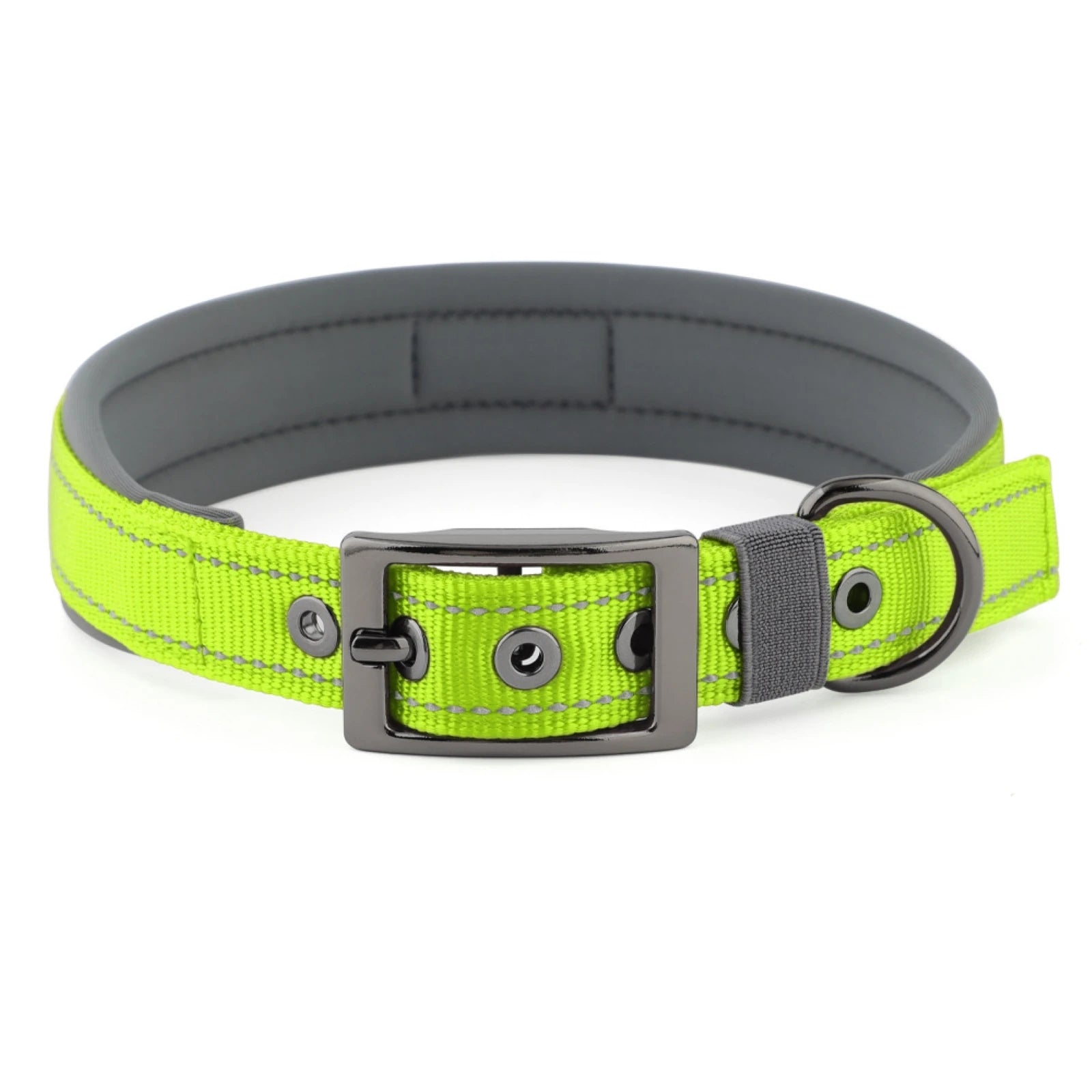 Large Dogs Collar