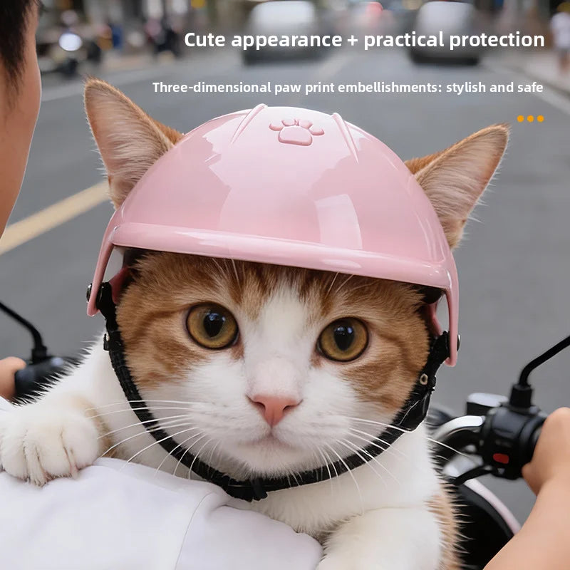 Pet Helmet