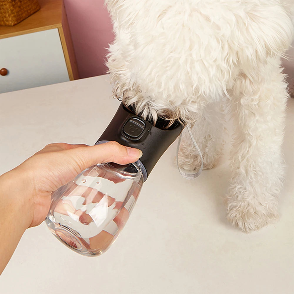 Portable Water Bottle