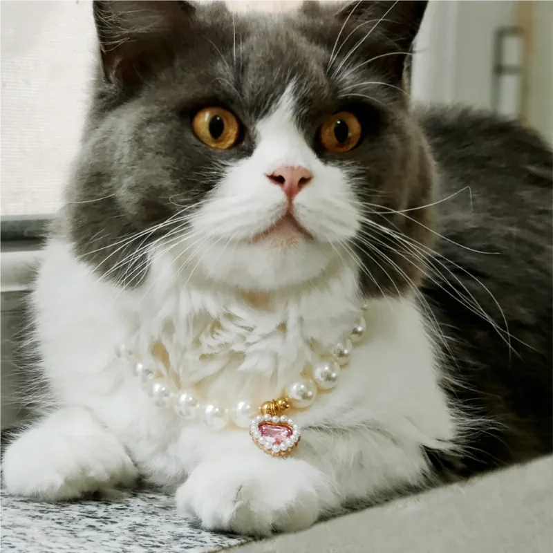 Adjustable Pet Pearl Necklace