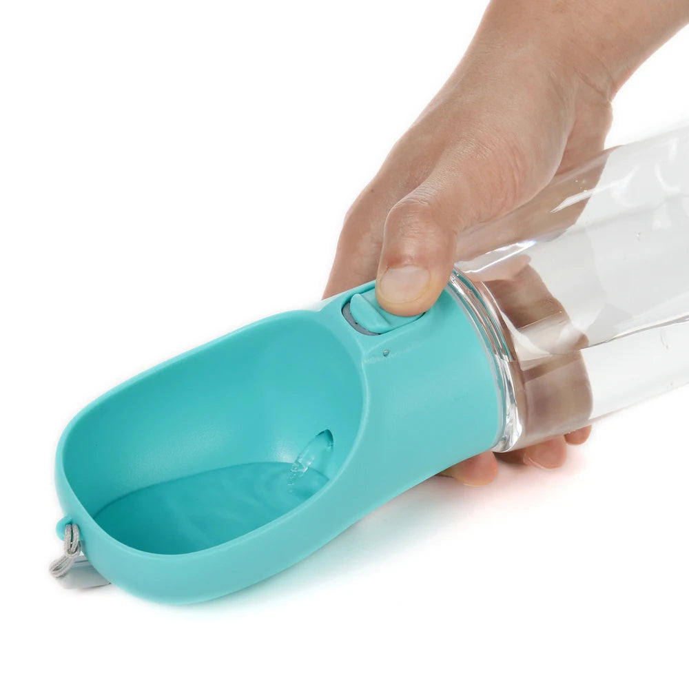 Portable Water Bottle