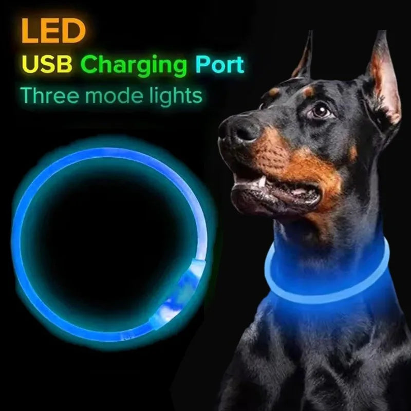 Pet Dog LED Collar