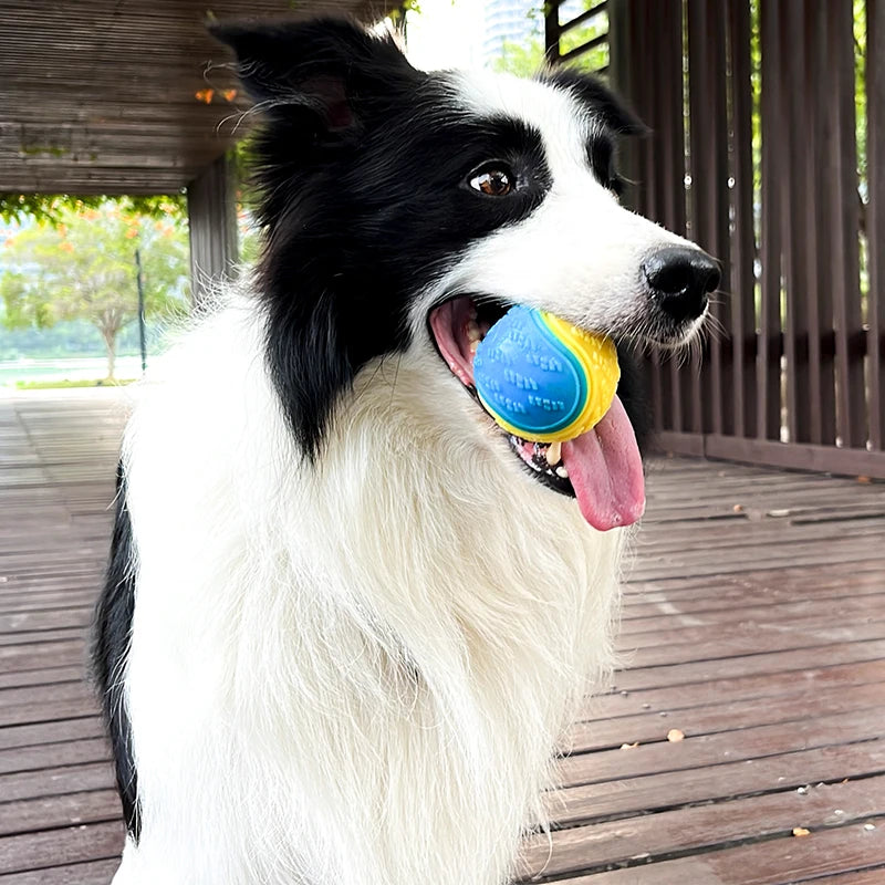 Soft TPR Toys for Teeth Cleaning Bite Resistance Squeaky