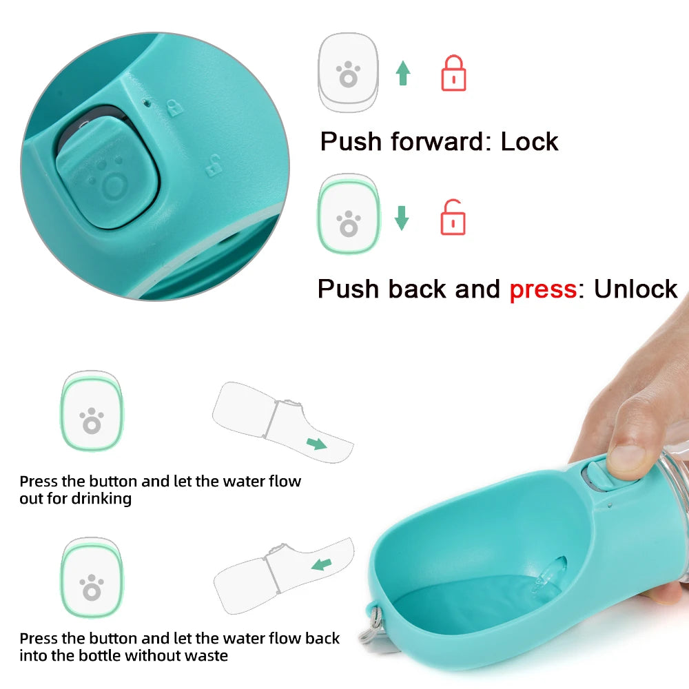 Portable Water Bottle