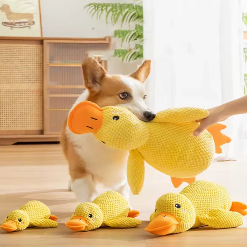 Yellow duck toy