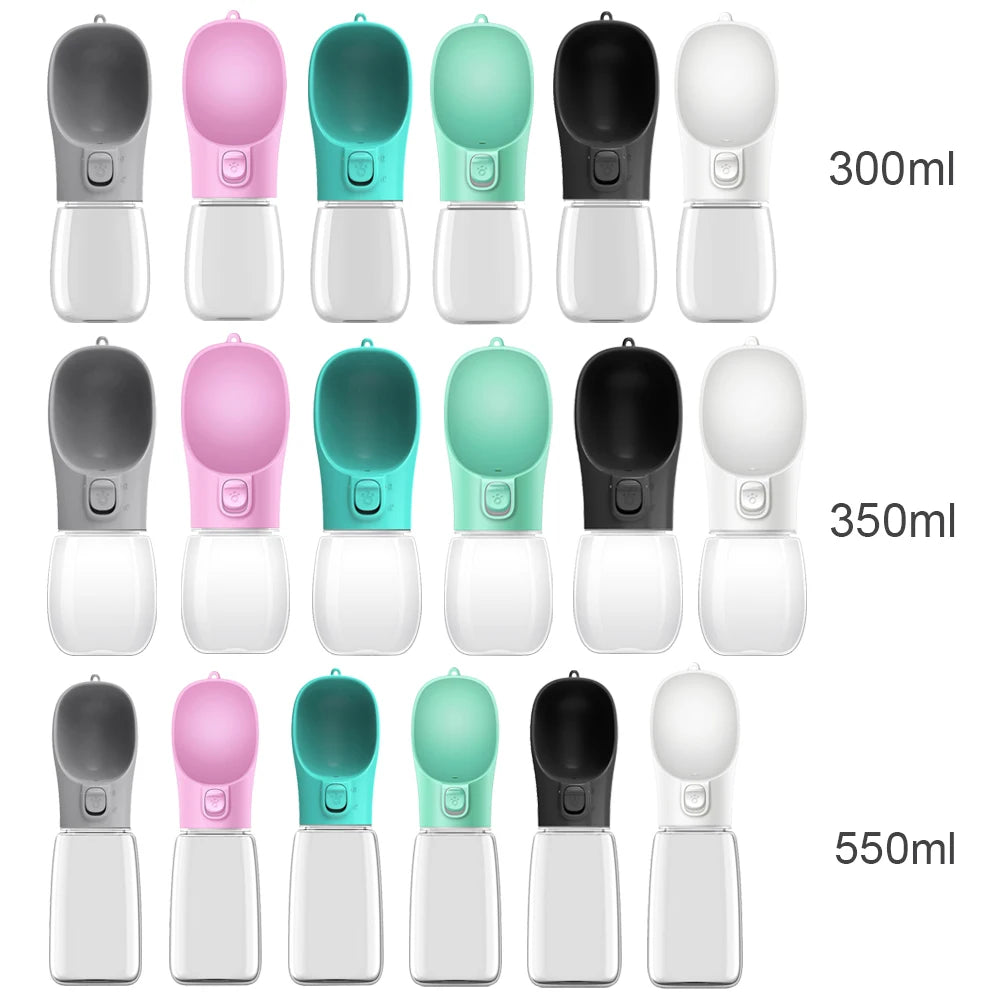 Portable Water Bottle
