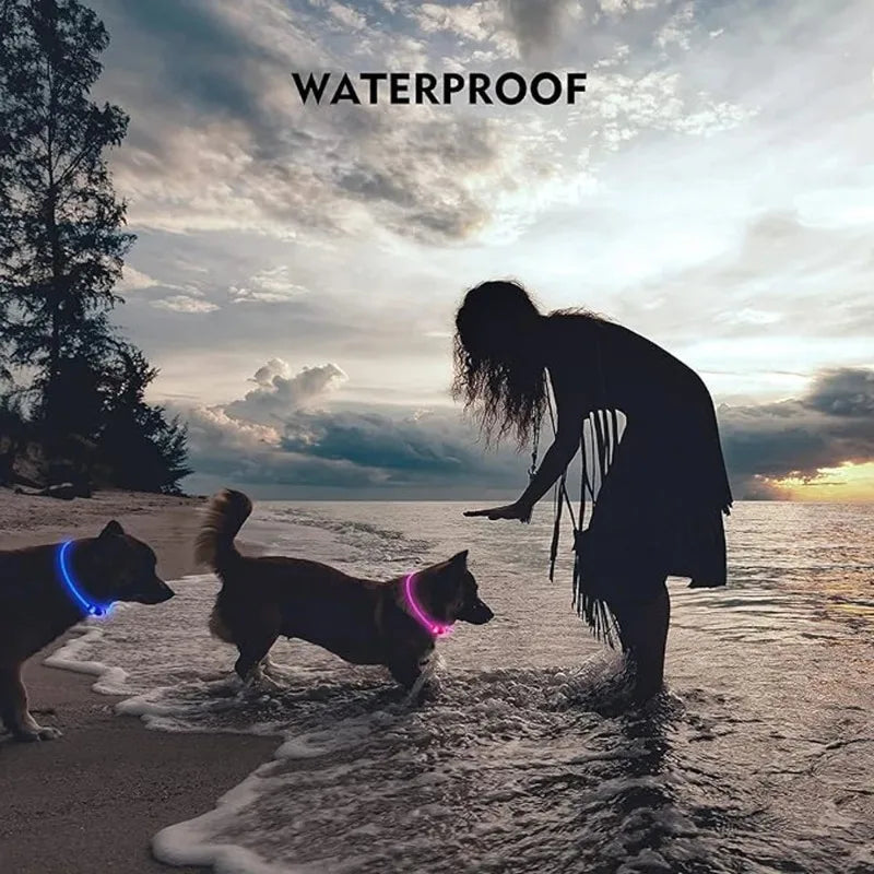 Pet Dog LED Collar