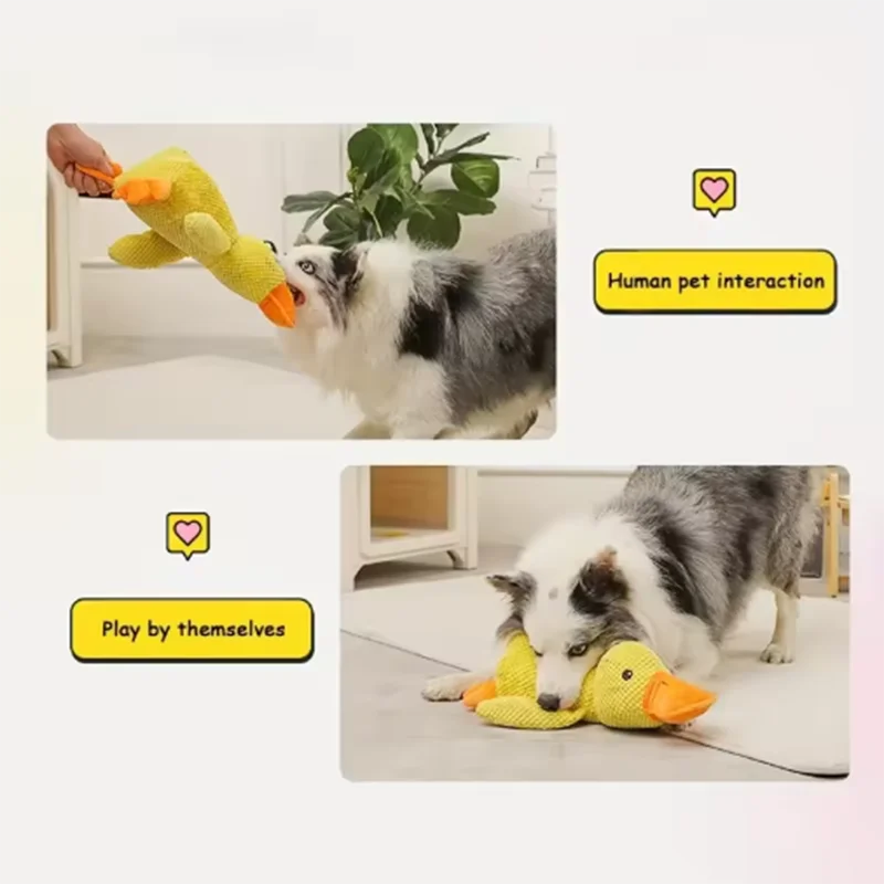 Yellow duck toy