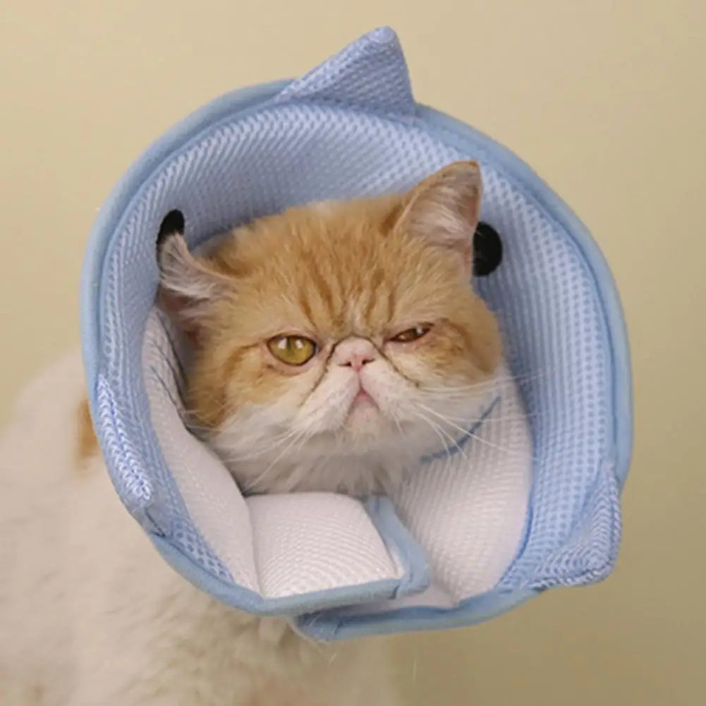 Pet Cone Good Flexibility Anti bite,Neck Circle Pet Collar