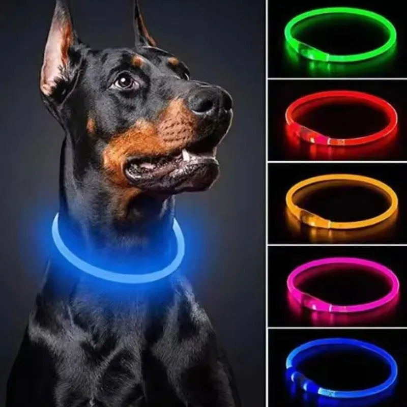 Pet Dog LED Collar