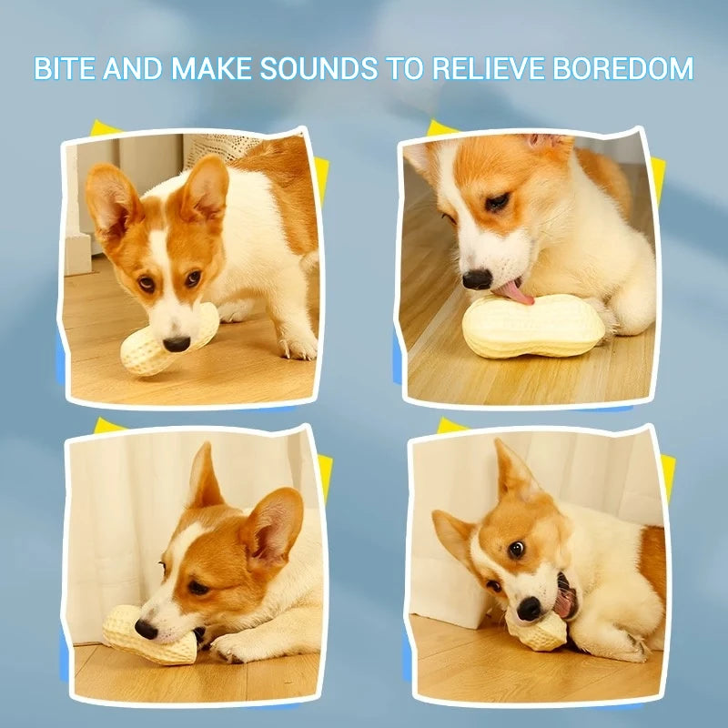 TPR Simulation Peanut Sound Toy/Teeth Grinding Pet Supplies