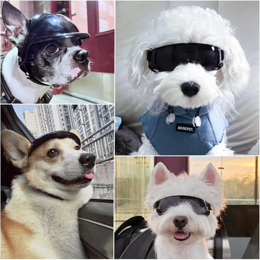Safety Helmet For Small and Medium-sized Dogs