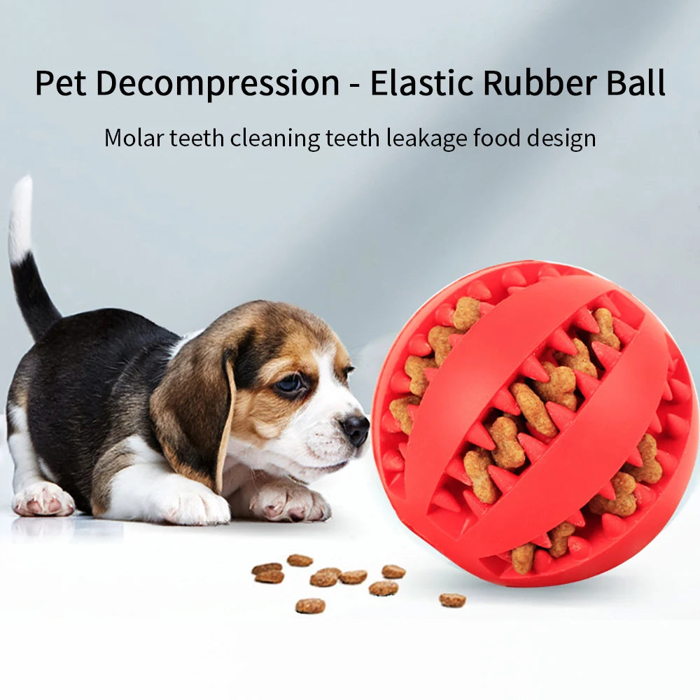Pet Ball Toys for Small Dogs Interactive, Elasticity, Chewy, Tooth Cleaning