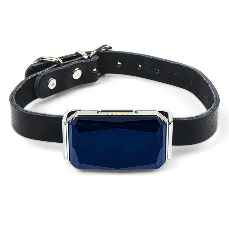 Smart GPS Pet Tracker Real Time Tracking IP67 Waterproof
