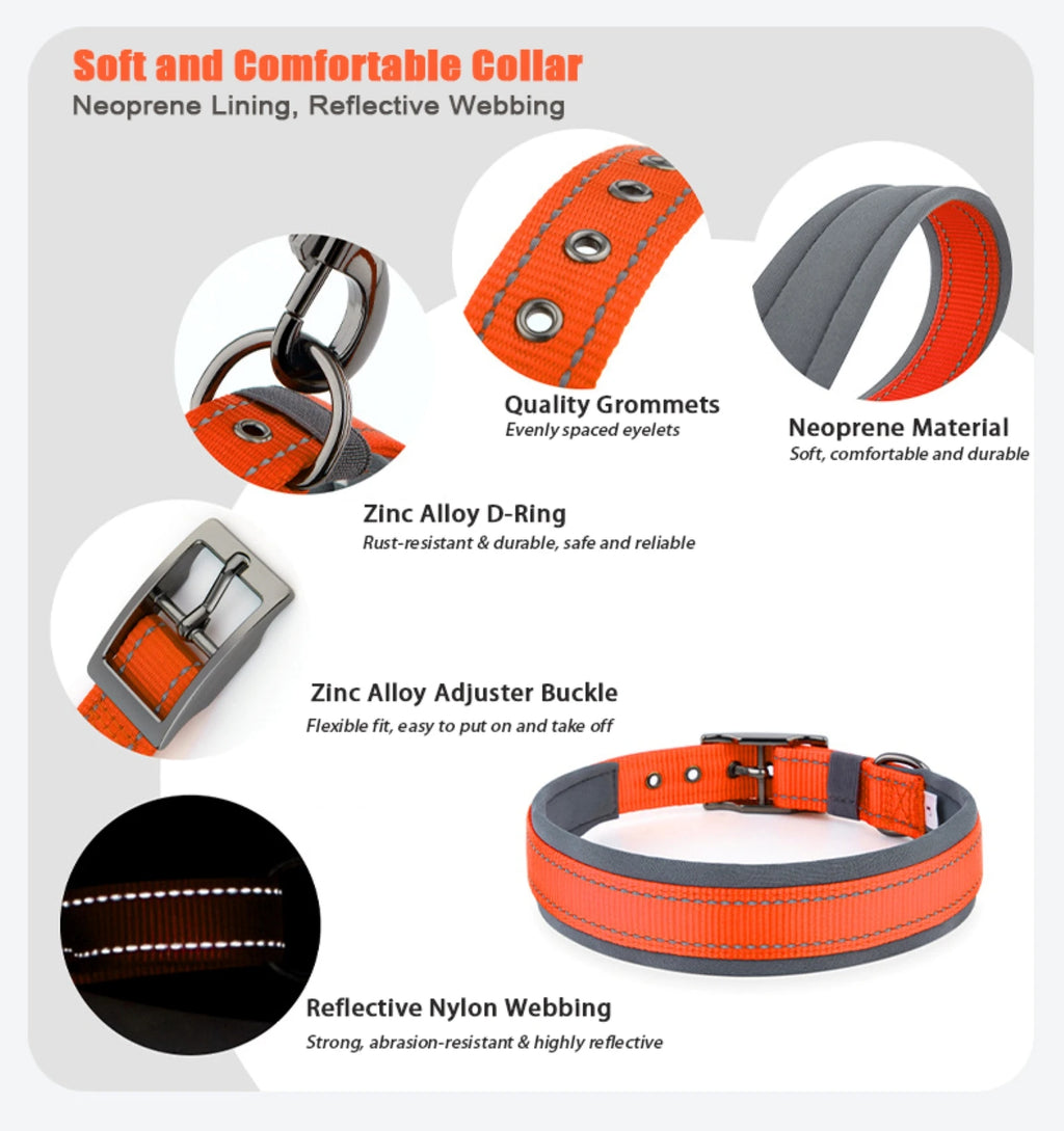 Large Dogs Collar