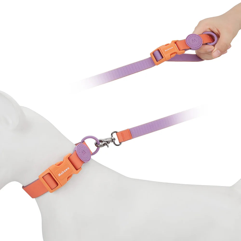 Pet Collars For Puppy Small Medium Dogs Leash Rope