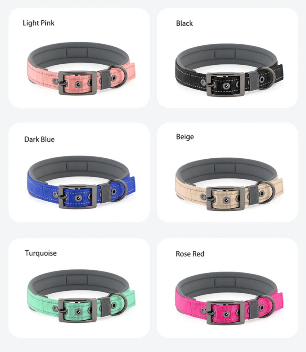Large Dogs Collar