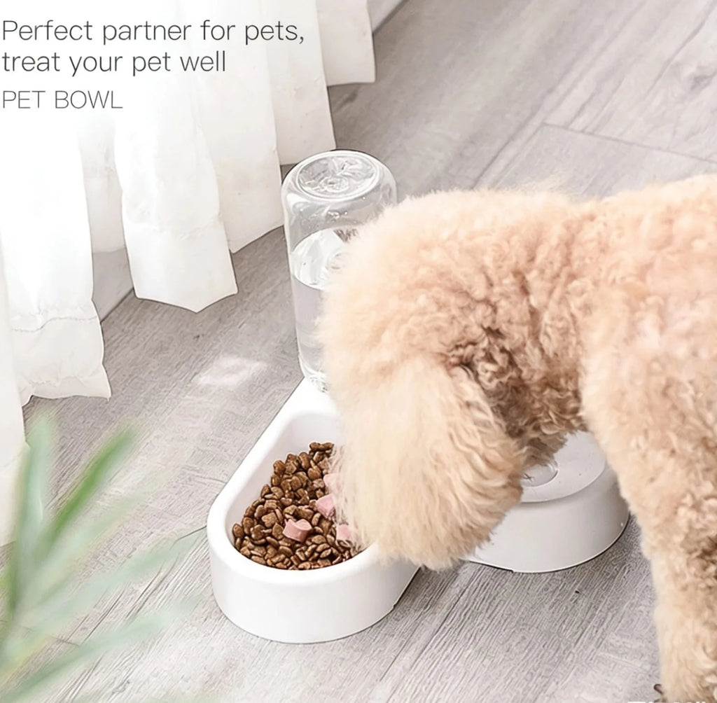Pet Feeding Bowl Set