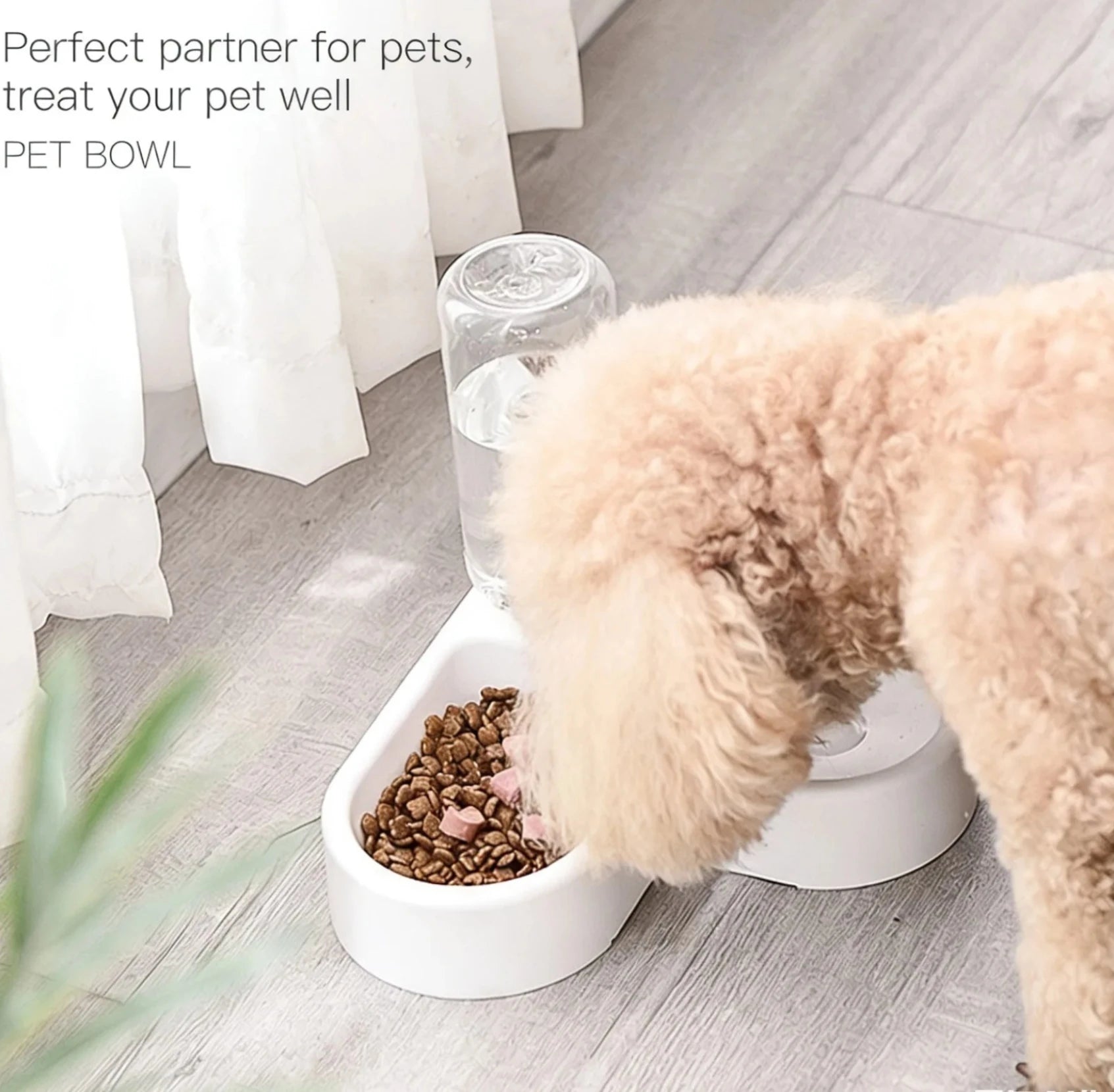 Pet Feeding Bowl Set